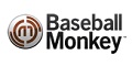 Baseball Monkey