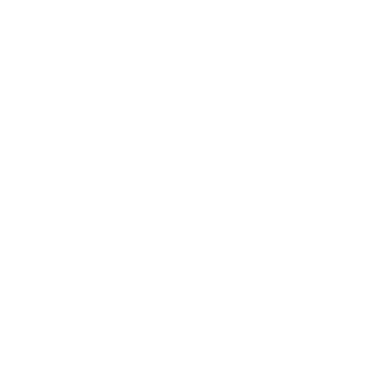 XGIMI LIMITED
