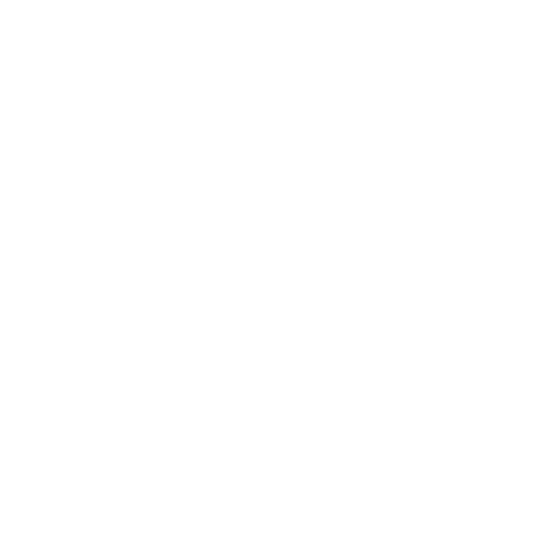 Office Shoes