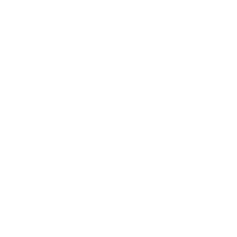 The Walking Company