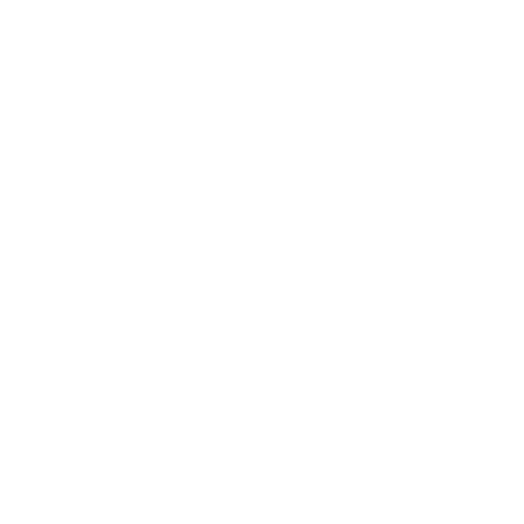 JOES Jeans