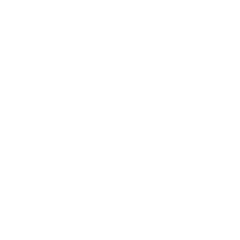 rue21