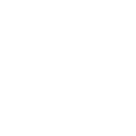 Hobo Bags